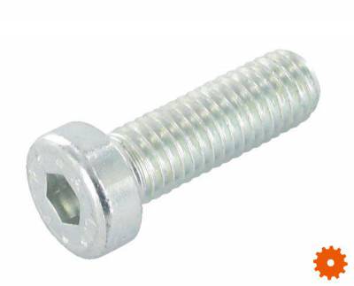 Cil.inbusbout lage kop M12x20 - 798461488 Cil.inbusbout lage kop M12x20 - 798461488